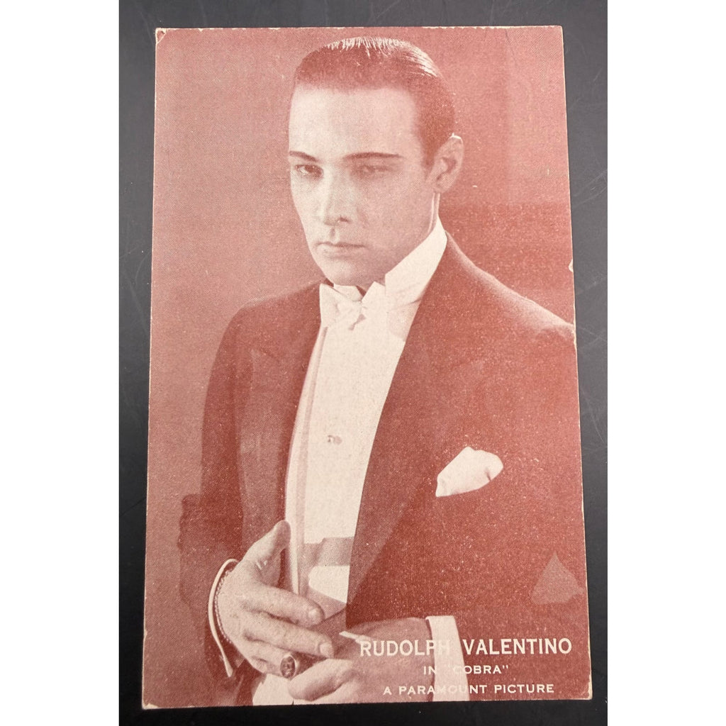 1925 Rudolph Valentino Exhibit Card Cobra, The Sheik, Blood and Sand, Eagle, Four Horsemen of the Apocalypse, Sainted Devil Beyond the Rocks