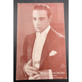 1925 Rudolph Valentino Exhibit Card Cobra, The Sheik, Blood and Sand, Eagle, Four Horsemen of the Apocalypse, Sainted Devil Beyond the Rocks