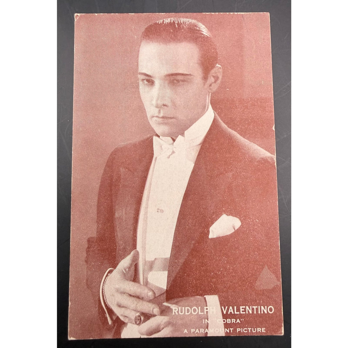 1925 Rudolph Valentino Exhibit Card Cobra, The Sheik, Blood and Sand, Eagle, Four Horsemen of the Apocalypse, Sainted Devil Beyond the Rocks