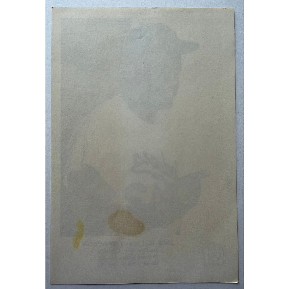 1963 Hall of Fame Jackie Robinson Photo Brooklyn Dodgers MLB Baseball, Montreal Royals, Jackie Photo, 42