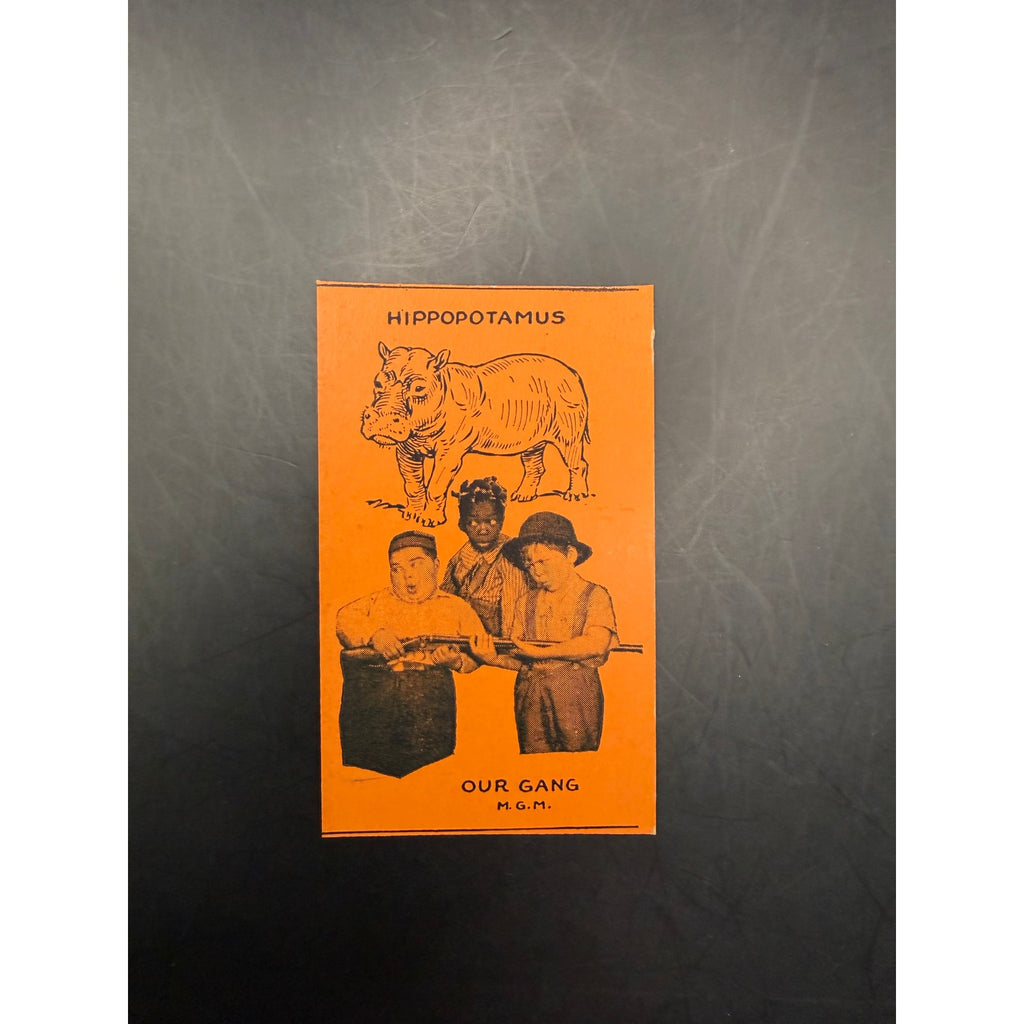 Rare 1920-30s Our Gang Strip Card Little Rascals Joe Cobb, Allen "Farina" Hoskins, Mickey Daniels, Hippopotamus Strip Card, Hollywood
