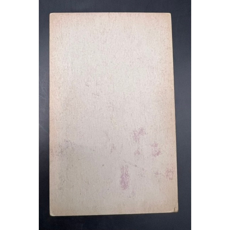 Rare 1920s Harold Lloyd Exhibit Card Pink Tinted, Hollywood Postcard Safety Last, The Freshman, Girl Shy, Speedy, Why Worry